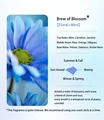 Brew of Blossom