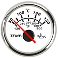 oil temp WS custom