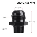 AN12-1-2NPT