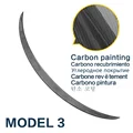 3 Carbon Paint A