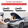 NEW Model X Type 1