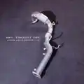 Bring a cat