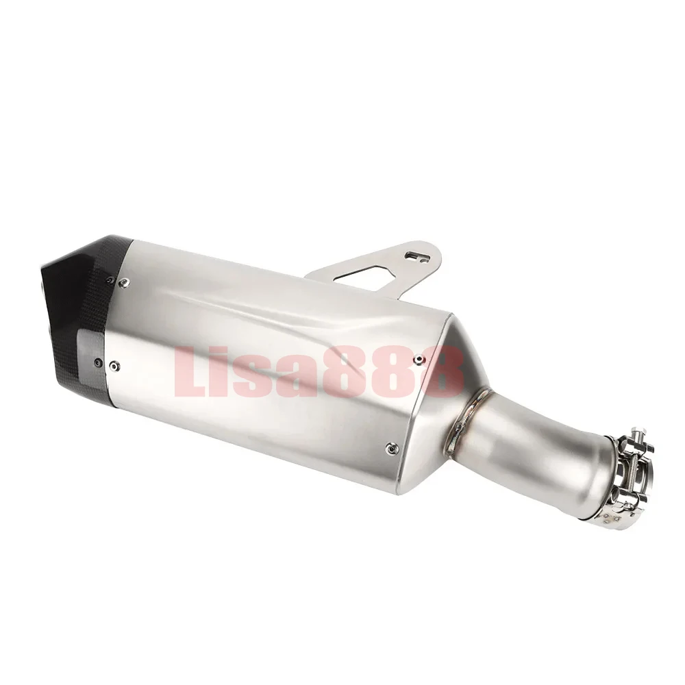 Escape fibra carbono 60mm silenciador doble-agujero BMW R1300GS 2024-2025 - imagen 3