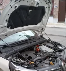 Amortiguadores de capó para Renault Captur 2019-2024