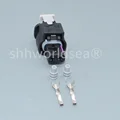 5set female