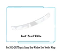 Roof White