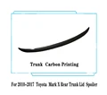 Trunk Carbon Look