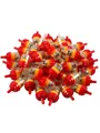 RED-100PCS