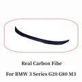 Real Carbon Fibe