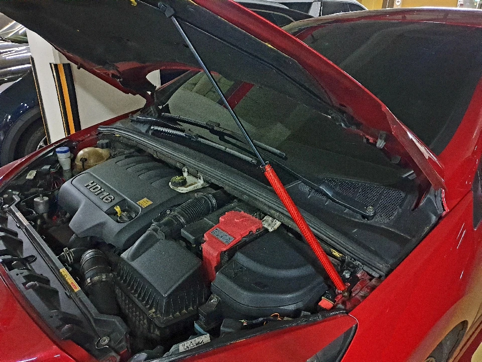 Puntales de resorte de gas para capó Peugeot 308 T7