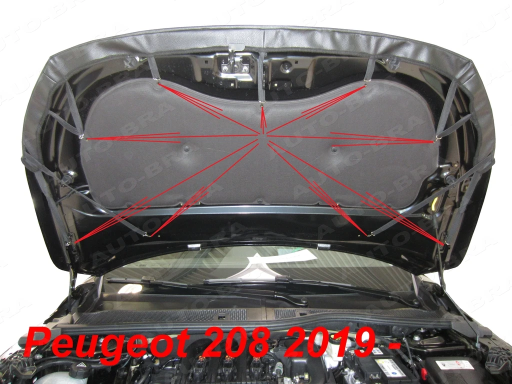 Puntales de gas para capó Peugeot 208 2019-2021 fibra de carbono - imagen 5