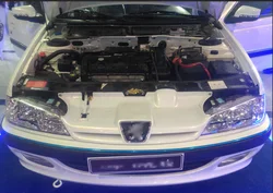 Capó delantero con puntales de gas Peugeot Pars y Safir