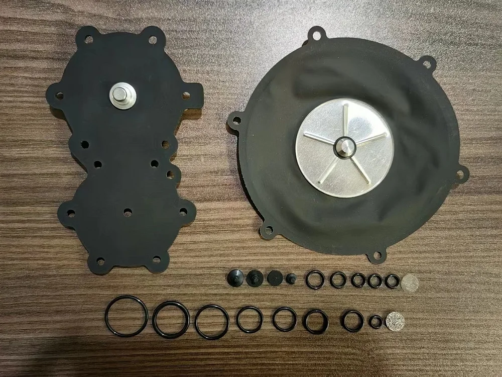 Componentes del kit de reparación CNG LOVATO