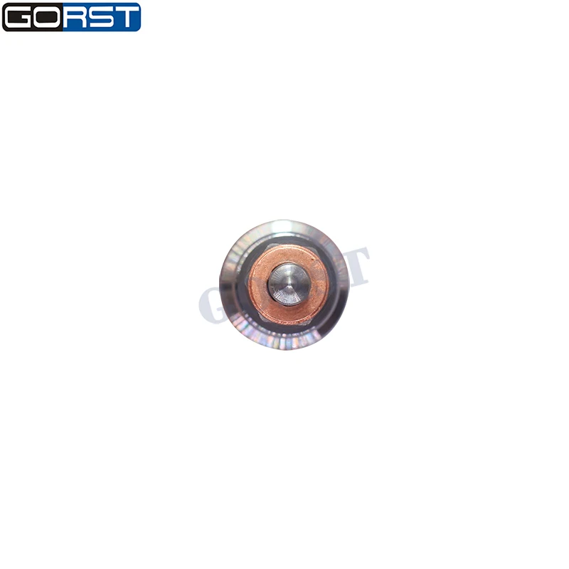 Detalle del inyector Common Rail