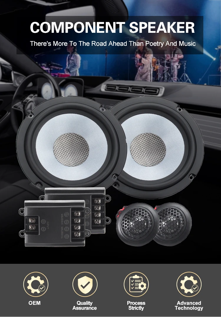 Altavoz componente 6,5 pulgadas vista frontal